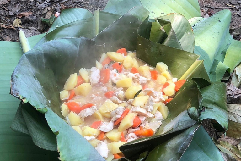 Chiang Rai: Trekking, Bamboo Cooking, and Hot Springs Tour