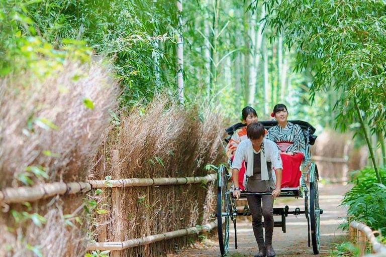 كيوتو/نارا: جولة عائلية ممتعة وثقافية بالسيارة مع خدمة التوصيل من الفندق