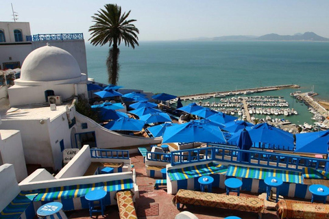 Hammamet: Carthage, Sidi Bou Said, and Medina with olive oil tasting