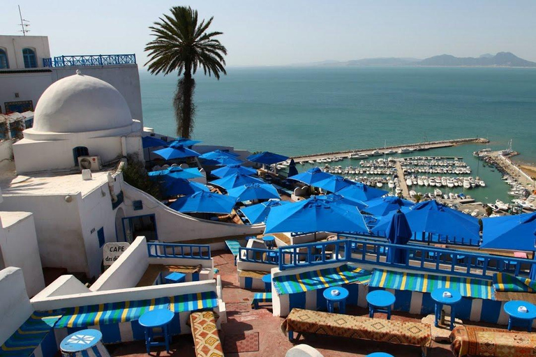 Hammamet: Carthage, Sidi Bou Said, and Medina with olive oil tasting