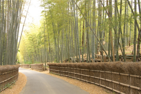 Kyoto Hozugawa River Boat Sagano Romantic Train Tour From Kyoto