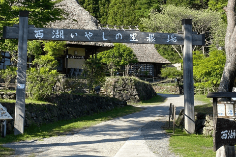 Tokyo: Mountain Fuji Private Full Day Tour with transfer Mount Fuji: Private Tour (Guided tour included) Max 5 pax