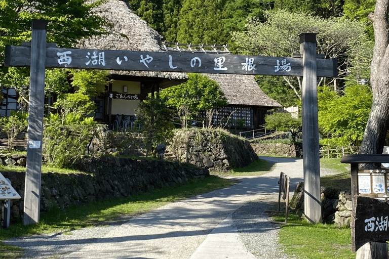 Tokyo: Mountain Fuji Private Full Day Tour with transfer Mount Fuji: Private Tour (Guided tour included) Max 5 pax