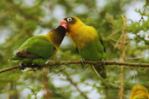 Private Kayaking Adventure: a 2-hour Wildlife Escape Self-Guided Kayaking Adventure: a 2-hour Wildlife Escape