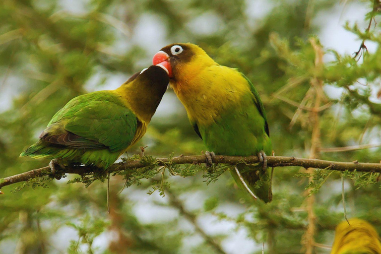Private Kayaking Adventure: a 2-hour Wildlife Escape Self-Guided Kayaking Adventure: a 2-hour Wildlife Escape