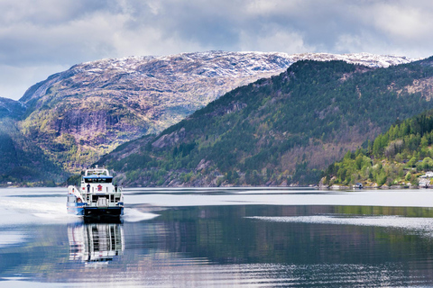 Från Bergen: Dagsutflykt med Flams järnväg och Fjordkryssning