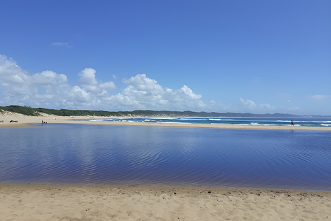 8-dniowa wycieczka safari do Parku Narodowego Krugera, St Lucia i Sodwana