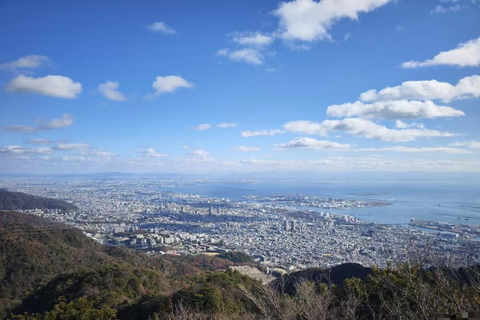 Kobe: Shore Excursion for Cruise Guest(Small Group/Private) Small Group