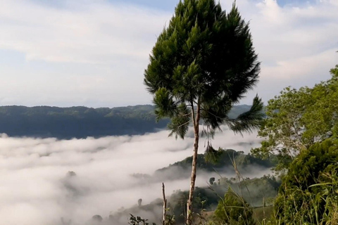 Z Cebu: Nocleg w Sea of Clouds