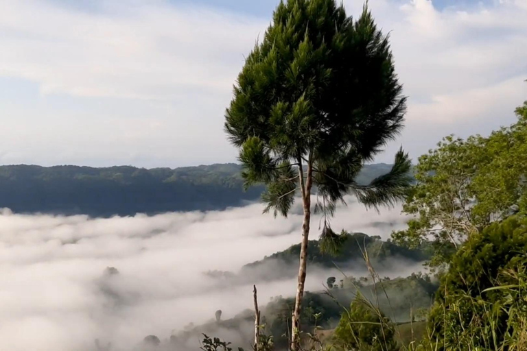 Au départ de Cebu : nuit à Sea of Clouds