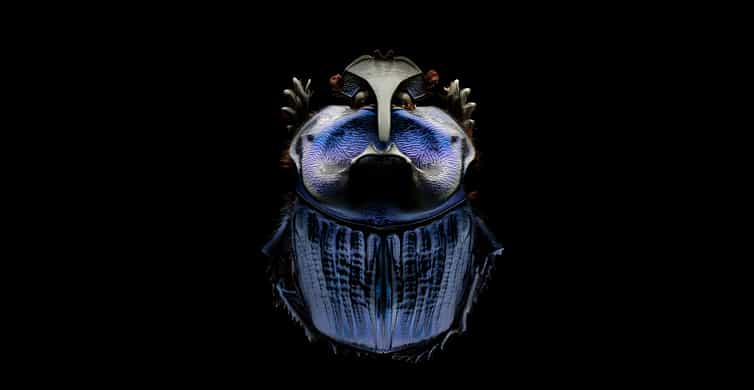 Singapore: ArtScience Museum Entry Ticket photo 12