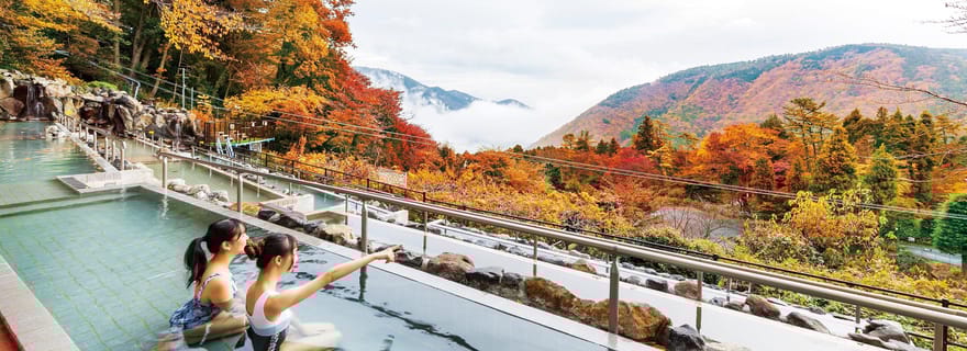 Billet d'entrée aux sources chaudes Kowakien Yunessun