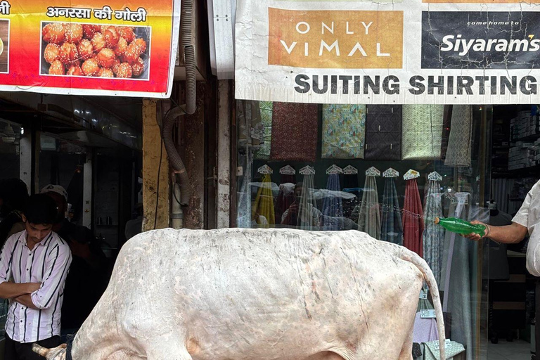 Curated Home Décor & Souvenir Shopping Tour (Women-Led) Home Décor & Souvenir Shopping Tour (Women-Led) - Half-Day