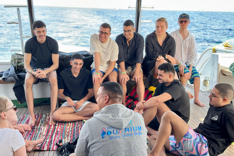 Sharm: Small Group White Island & Ras Mohammed Boat Cruise Small Group White Island & Transfer, without Snorkel Gear