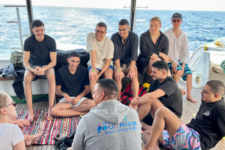 Sharm: Small Group White Island & Ras Mohammed Boat Cruise Small Group White Island & Transfer, without Snorkel Gear