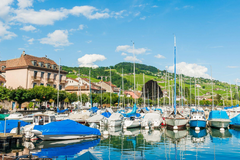 Le meilleur de Genève : Visite à pied privée avec un localVisite à pied privée de la ville (2Hr)