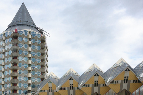 Lo mejor de Rotterdam con un local: Visita a pie y crucero en barco