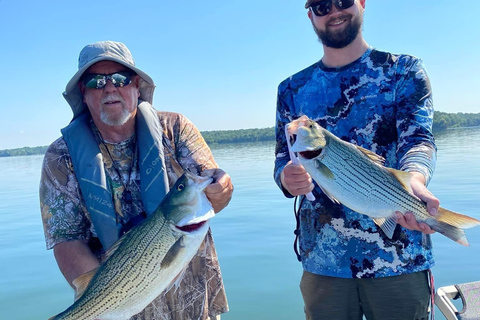 ناشفيل: رحلة صيد سمك القاروص الهجين والمخطط