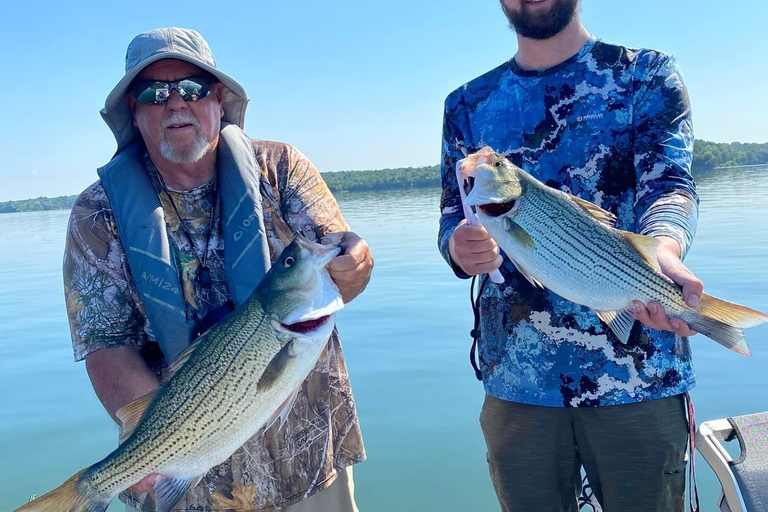 ناشفيل: رحلة صيد سمك القاروص الهجين والمخطط