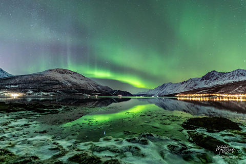 From Tromsø: Northern Lights Bus Tour