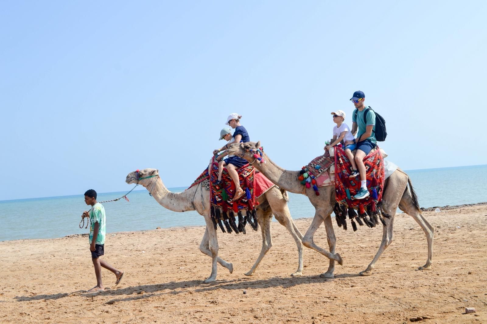Hurghada: 1-stündiges Kamelreiten in der Wüste & am Strand mit Transfers