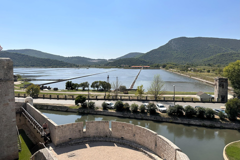 Oyster farm experience-private day trip from Dubrovnik