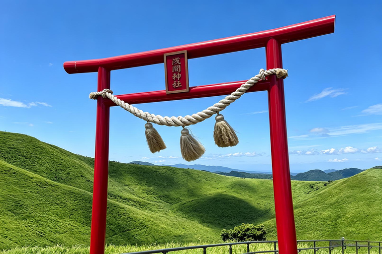Small Group Day Tour:Omuro Mountain & the Izu Scenic Railway Hotel Transfer Option