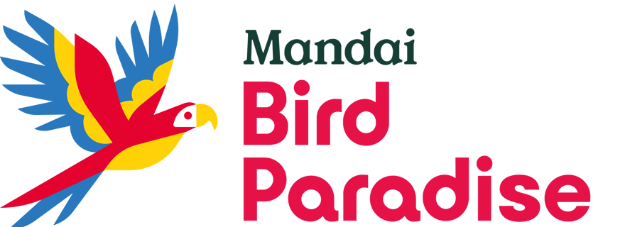 Singapour : le paradis des oiseaux