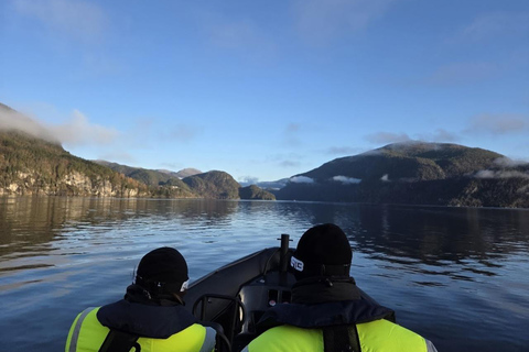 卑尔根：乘坐高级 RIB 船探索莫斯特罗门峡湾卑尔根：乘坐高级 RIB 船游览莫斯特罗门峡湾