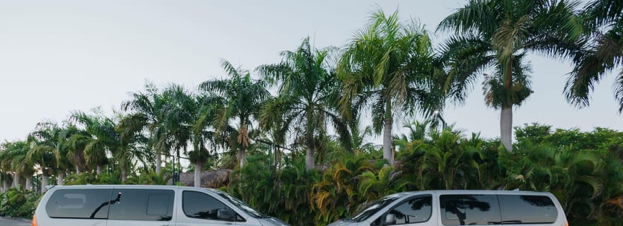 Transferts de l'aéroport de Punta Cana de/à l'hôtel 1 ou 2 fois