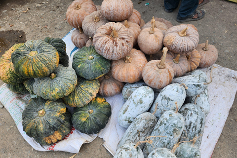 From Vientiane: Plain of Jars Tour & Homestay