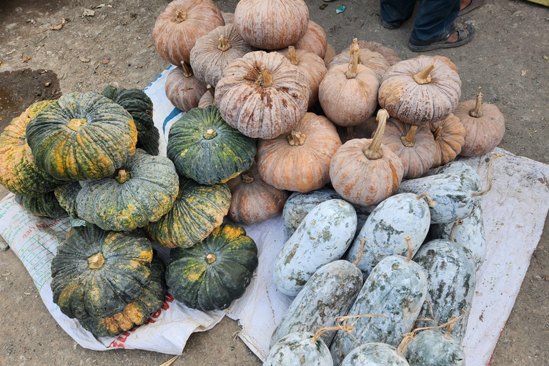 From Vientiane: Plain of Jars Tour & Homestay