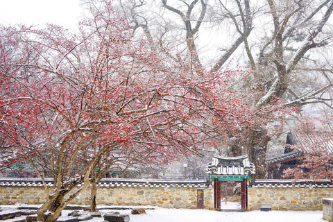 Jeonju Hanok Village and Daedunsan Serenity Nature Tour Departing from Dongdaemun H&C Park Station Exit 10