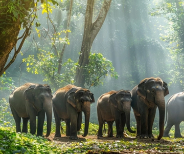 Yala National Park Safari Tours : 7 uur & 12 uur