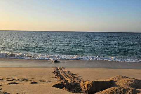Oman: 8-Day Adventure Muscat, Wahiba Desert & Jebel Akhdar Oman: 8-Day Private Adventure