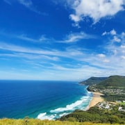 Sydney: Private Jervis Bay & South Coast Tour