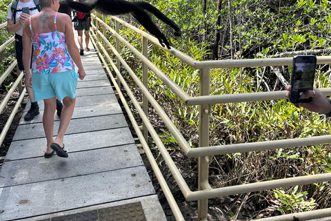 San José: Manuel Antonio National Park Tour with Lunch