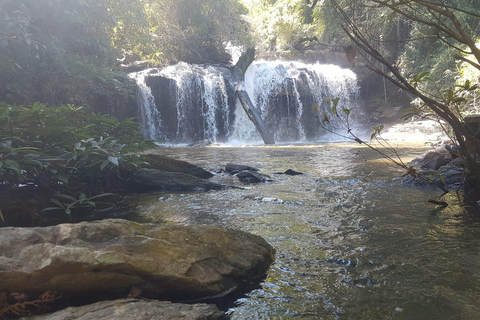 Chiang Mai: Jungle Trek, Elephants & Hill Tribe Village Stay Chiang Mai: 2-Day Jungle Trek with Hill Tribe Stay