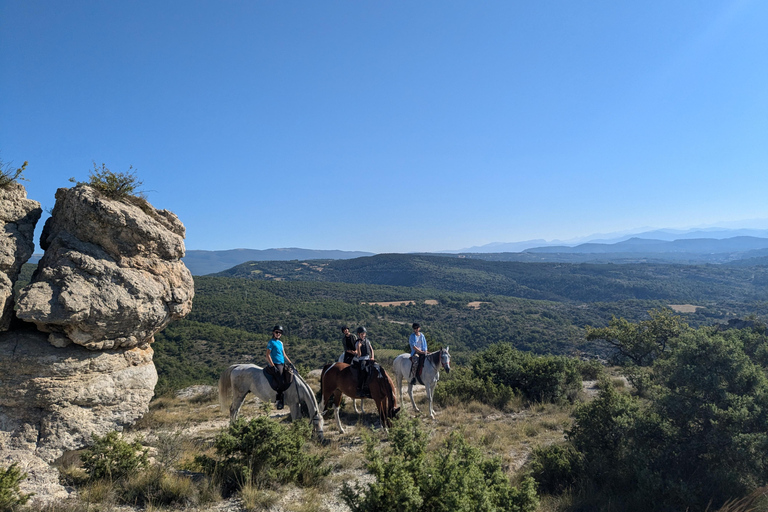 Horseback riding in Provence Luberon