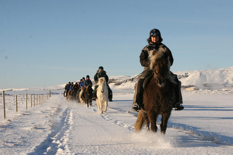 Hveragerdi: O passeio a cavalo de SiggiHveragerdi: O tour de Siggi 1,5 a 2 horas