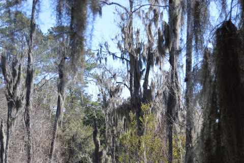 A Day at Magnolia Plantation