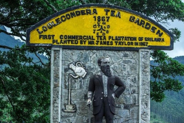 Desde Kandy Visita a la plantación de té de James Taylor