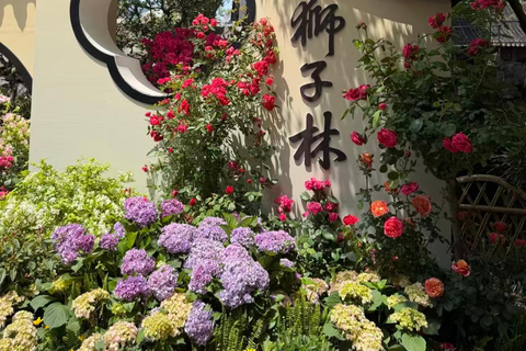 Suzhou: Lion Forest Garden Ticket and Photos