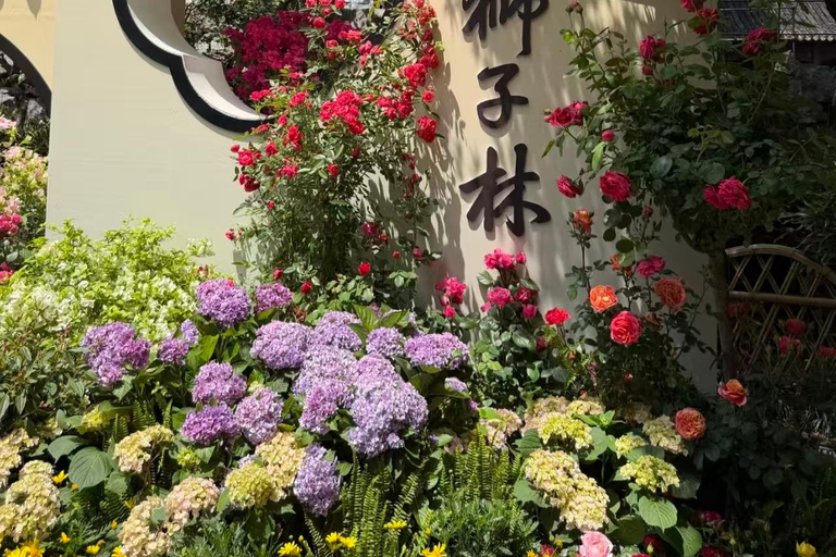Suzhou: Lion Forest Garden Ticket and Photos