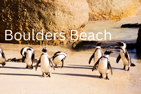 Full Day Cape Peninsula Tour