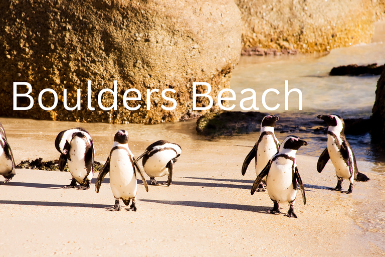 Full Day Cape Peninsula Tour