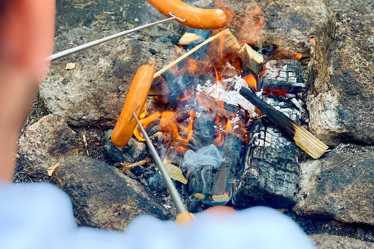 从赫尔辛基出发：努克西奥国家公园的迷人下午