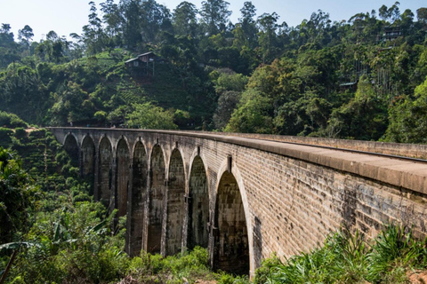 Sri Lanka: Guided Tour with Temple of the Rawan