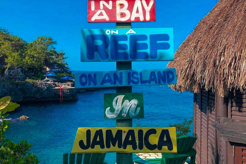 蒙特哥湾度假村出发：里克斯咖啡馆日落双体船巡游里克斯咖啡馆日落双体船巡游蒙特哥湾度假村