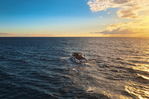 Excursión para ver las ballenas 2 horasExcursión - 2 Horas